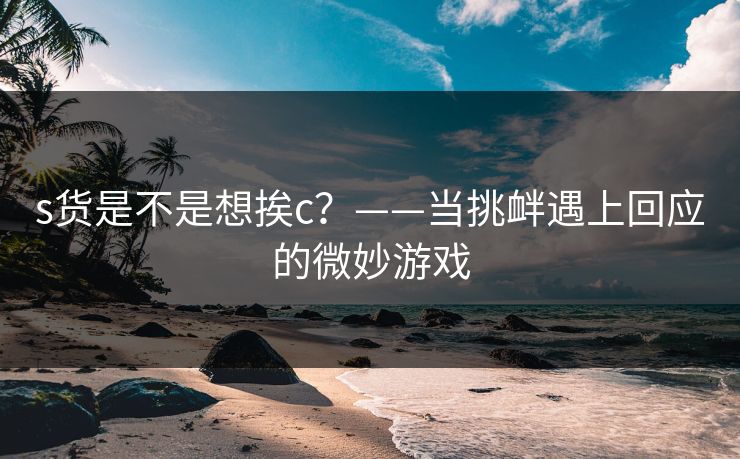s货是不是想挨c？——当挑衅遇上回应的微妙游戏