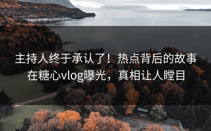 主持人终于承认了！热点背后的故事在糖心vlog曝光，真相让人瞠目